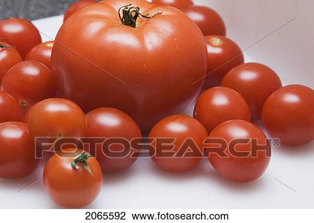 Group Of Tomatoes View Large Photo Image Stock Image - Group Of Tomatoes. Fotosearch