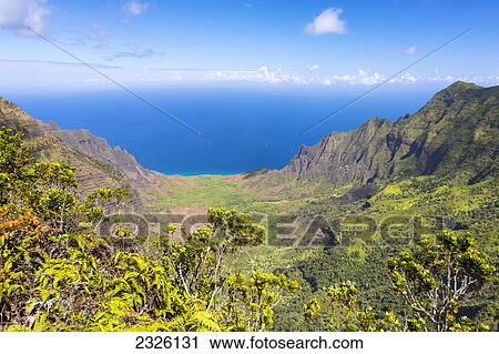Stock Image - Hawaii, Kauai, View of Kalalau Valley from Kokee Lookout.. Fotosearch