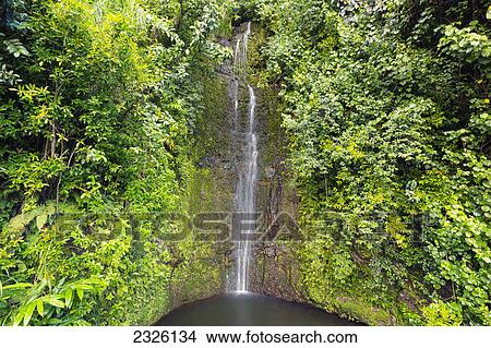 Picture - Hawaii, Maui, Hana, Beautiful waterfall along the Road to Hana.. Fotosearch