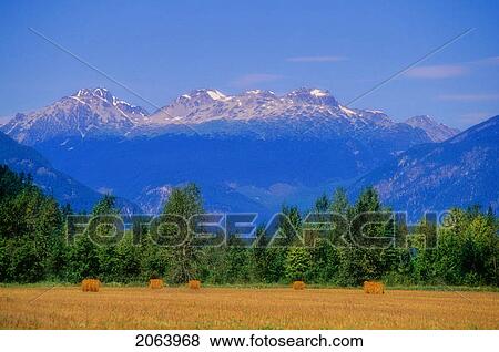Hay Bales In Field, Pemberton, With Mountains Behind View Large Photo Image Stock Photo - Hay Bales In Field, Pemberton, With Mountains Behind. Fotosearch