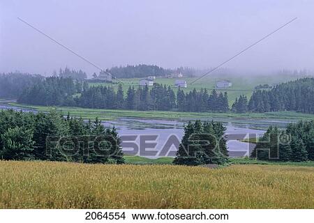 Picture - Hayfields And Inlet In Misty Pei, Near Souris, Pei. Fotosearch