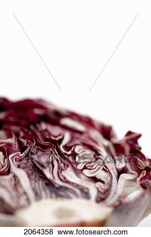 Head Of Radicchio, Cut Open View Large Photo Image Stock Photo - Head Of Radicchio, Cut Open. Fotosearch
