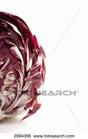 Head Of Radicchio, Cut Open View Large Photo Image Stock Photograph - Head Of Radicchio, Cut Open. Fotosearch