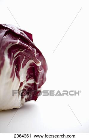 Stock Image - Head Of Radicchio. Fotosearch