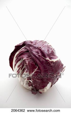 Head Of Radicchio View Large Photo Image Stock Image - Head Of Radicchio. Fotosearch