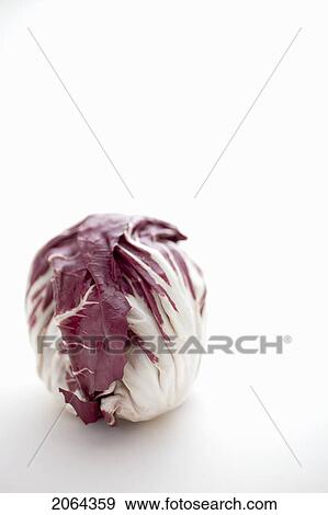 Stock Photo - Head Of Radicchio. Fotosearch