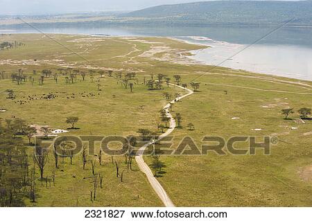 Stock Photo - High Angle View Of A Road Going Through Rift Valley Near Nairobi; Kenya. Fotosearch