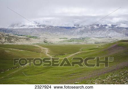 Picture - High-mountain landscape of yak's green pastures near the capital of upper mustang region; Lo manthang upper mustang nepal. Fotosearch