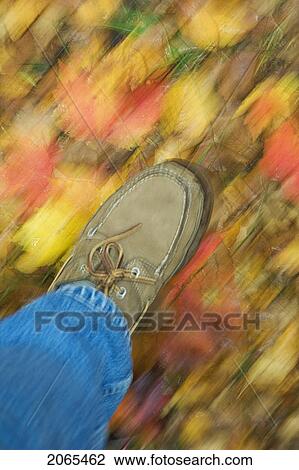 Hiking Through Autumn Foliage. Cape Breton Highlands National Park, Nova Scotia. Canada. View Large Photo Image Stock Image - Hiking Through Autumn Foliage. Cape Breton Highlands National Park, Nova Scotia. Canada.. Fotosearch