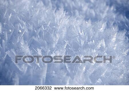 Ice Crystal Forest View Large Photo Image Stock Image - Ice Crystal Forest. Fotosearch