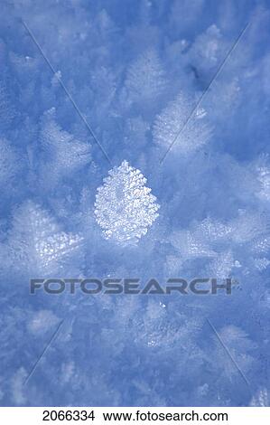 Picture - Ice Crystal. Fotosearch