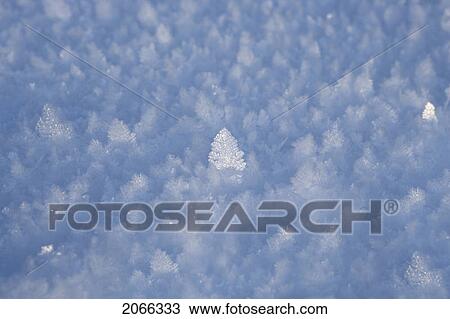 Stock Image - Ice Crystal. Fotosearch