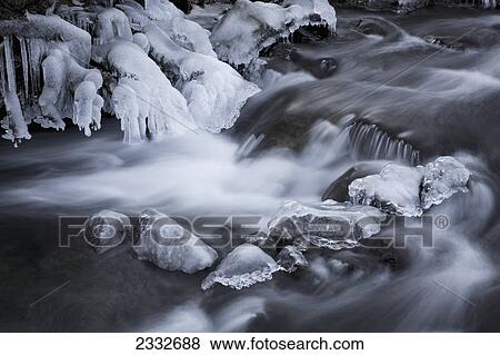 Ice forming along a small stream in alaska's tongass forest heralds the coming of the winter season; Juneau alaska united states of america View Large Photo Image Stock Photo - Ice forming along a small stream in alaska's tongass forest heralds the coming of the winter season; Juneau alaska united states of america. Fotosearch