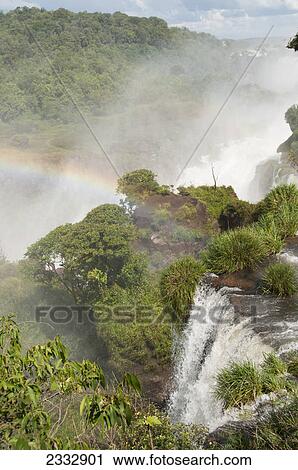 Stock Image - Iguazu falls; Argentina. Fotosearch