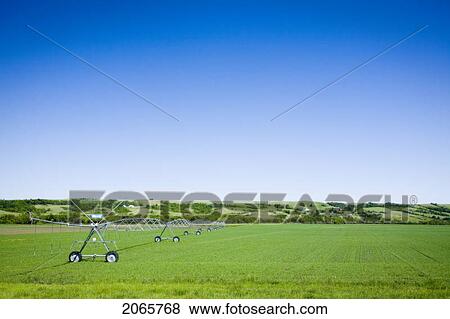 Irrigation, Lumsden, Saskatchewan, Canada View Large Photo Image Stock Photo - Irrigation, Lumsden, Saskatchewan, Canada. Fotosearch
