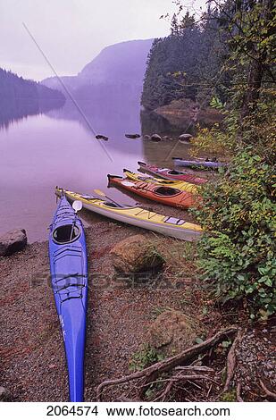 Picture - Kayaks Rest By The Shore Of Loon Lake, Early Fall Morning, Loon Lake, Near Maple Ridge, Bc. Fotosearch
