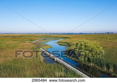 Lake Erie Shoreline Marsh. Point Pelee National Park, Ontario. Canada. View Large Photo Image Picture - Lake Erie Shoreline Marsh. Point Pelee National Park, Ontario. Canada.. Fotosearch