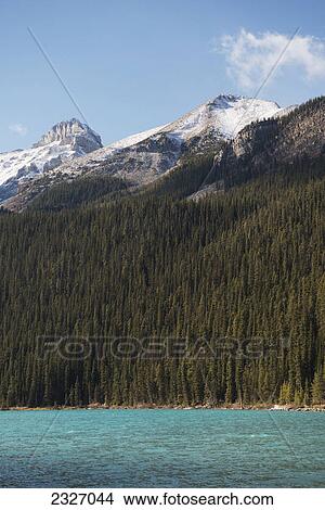 Lake louise forest and rugged rocky mountains in banff national park; Alberta canada View Large Photo Image Picture - Lake louise forest and rugged rocky mountains in banff national park; Alberta canada. Fotosearch