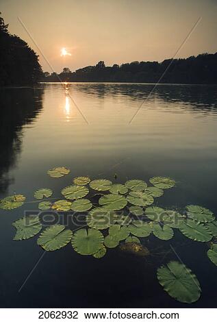 Lake Moodie - St Catharines, Ontario, Canada View Large Photo Image Stock Image - Lake Moodie - St Catharines, Ontario, Canada. Fotosearch