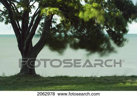 Stock Photo - Lake Ontario At Niagara Shores Conservation Area - Ontario Canada. Fotosearch