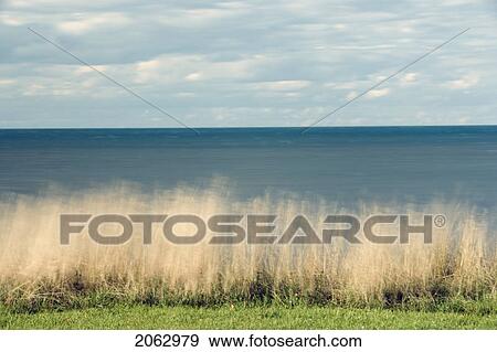 Stock Photo - Lake Ontario At Niagara Shores Conservation Area - Ontario Canada. Fotosearch