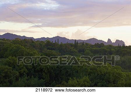 Stock Image - Landscape Of Mountains And Lush Vegetation At Sunset; Wailua Kauai Hawaii United States Of America. Fotosearch