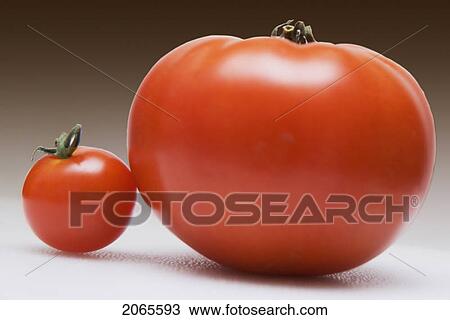 Stock Image - Large And Small Tomato. Fotosearch