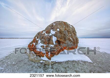 Stock Photo - Large Lichen Covered Rock In A Frozen Lake Situated On The Flats Beside Hudson's Bay; Manitoba Canada. Fotosearch