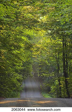 Lawler Road - Pelham Ontario - Niagara Region Ontario Canada, Canada View Large Photo Image Picture - Lawler Road - Pelham Ontario - Niagara Region Ontario Canada, Canada. Fotosearch