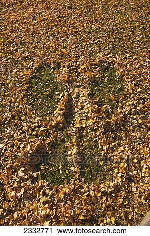 Leaf Angel imprint in fallen fall leaves, Russian Jack Park, Anchorage, Southcentral Alaska, USA. View Large Photo Image Stock Image - Leaf Angel imprint in fallen fall leaves, Russian Jack Park, Anchorage, Southcentral Alaska, USA.. Fotosearch