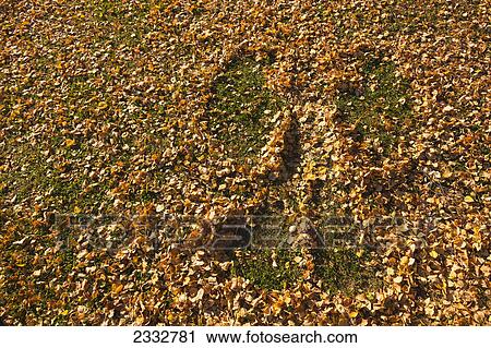 Stock Image - Leaf Angel imprint in fallen fall leaves, Russian Jack Park, Anchorage, Southcentral Alaska, USA.. Fotosearch