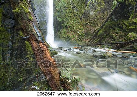 Little Niagara Falls Plunges Into The Creek Below, Goldstream Provincial Park Near Victoria, Bc, Canada View Large Photo Image Stock Photo - Little Niagara Falls Plunges Into The Creek Below, Goldstream Provincial Park Near Victoria, Bc, Canada. Fotosearch