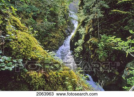 Little Qualicum Falls, Near Parksville, Vancouver Island Bc View Large Photo Image Stock Image - Little Qualicum Falls, Near Parksville, Vancouver Island Bc. Fotosearch