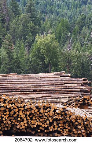 Stock Image - Logs Awaiting Processing At A Lumber Mill, Midway, Bc, Canada. Fotosearch