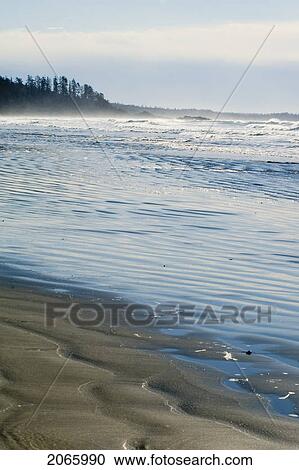 Long Beach, Tofino, Vancouver Island, Bc View Large Photo Image Stock Image - Long Beach, Tofino, Vancouver Island, Bc. Fotosearch