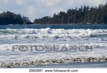 Long Beach, Tofino, Vancouver Island, Bc View Large Photo Image Stock Image - Long Beach, Tofino, Vancouver Island, Bc. Fotosearch
