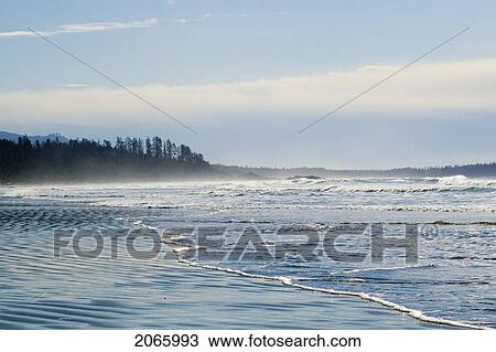 Long Beach, Tofino, Vancouver Island, Bc View Large Photo Image Stock Image - Long Beach, Tofino, Vancouver Island, Bc. Fotosearch