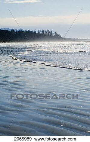 Long Beach, Tofino, Vancouver Island, Bc View Large Photo Image Stock Photo - Long Beach, Tofino, Vancouver Island, Bc. Fotosearch