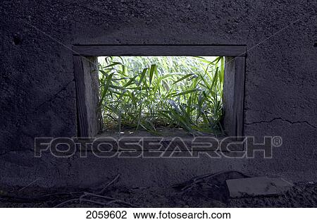 Long Grass Seen Through An Open Window In A Tobacco Drying Shed View Large Photo Image Stock Image - Long Grass Seen Through An Open Window In A Tobacco Drying Shed. Fotosearch