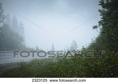 Looking across a misty highway; Blue river british columbia canada View Large Photo Image Stock Photography - Looking across a misty highway; Blue river british columbia canada. Fotosearch