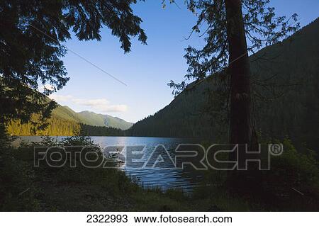 Looking out of a dark forest onto davis lake beneath a clear blue sky; British columbia canada View Large Photo Image Stock Image - Looking out of a dark forest onto davis lake beneath a clear blue sky; British columbia canada. Fotosearch