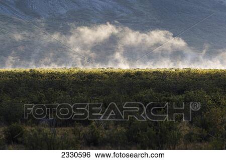 Low lying clouds above the trees against the mountains of the brooks range gates of the arctic national park northwestern alaska View Large Photo Image Stock Photograph - Low lying clouds above the trees against the mountains of the brooks range gates of the arctic national park northwestern alaska. Fotosearch