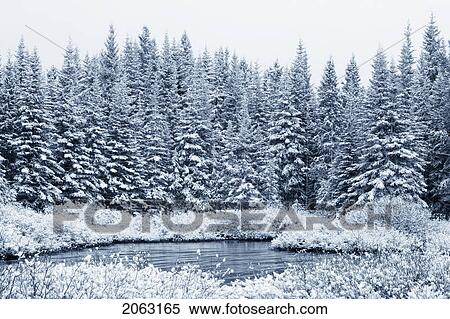 Stock Photography - Lower Kananaskis Lake, Peter Lougheed Provincial Park, Alberta, Canada. Fotosearch