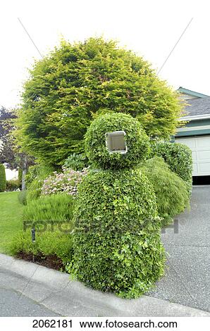 Stock Image - Mailbox In Trees, Vancouver Island, B. C.. Fotosearch