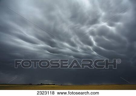 Mammatus storm clouds above the saskatchewan prairies; Saskatchewan canada View Large Photo Image Stock Photo - Mammatus storm clouds above the saskatchewan prairies; Saskatchewan canada. Fotosearch