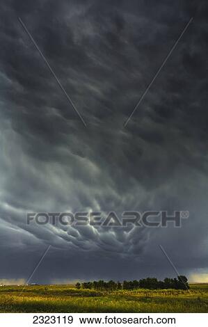 Stock Photo - Mammatus storm clouds above the saskatchewan prairies; Saskatchewan canada. Fotosearch