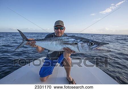 Man holding a large fresh caught fish; Puerto rico View Large Photo Image Stock Image - Man holding a large fresh caught fish; Puerto rico. Fotosearch