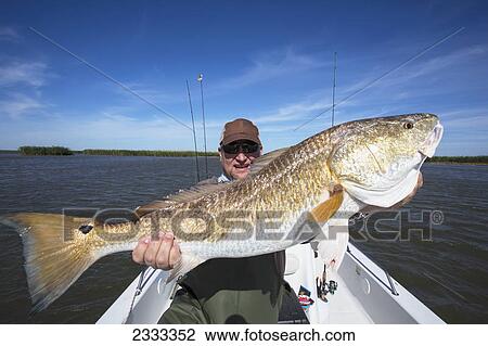 Stock Image - Man holding a redfish (sciaenops ocellatus); Venice louisiana united states of america. Fotosearch