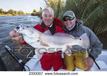 Stock Photo - Man holding a redfish (sciaenops ocellatus); Venice louisiana united states of america. Fotosearch