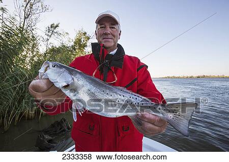 Man holding a redfish (sciaenops ocellatus); Venice louisiana united states of america View Large Photo Image Stock Photo - Man holding a redfish (sciaenops ocellatus); Venice louisiana united states of america. Fotosearch